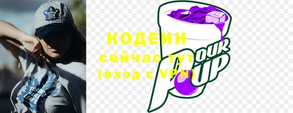 скорость Новозыбков