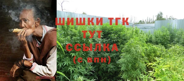 скорость Новозыбков