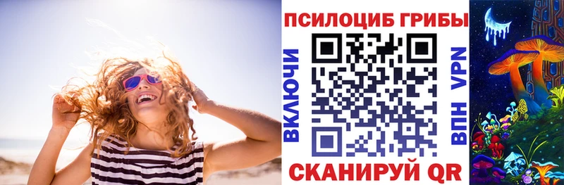 где продают наркотики  Печоры  ссылка на мегу ссылка  Псилоцибиновые грибы мицелий 